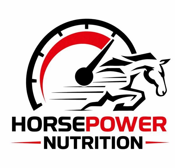 HPN JALANDHAR